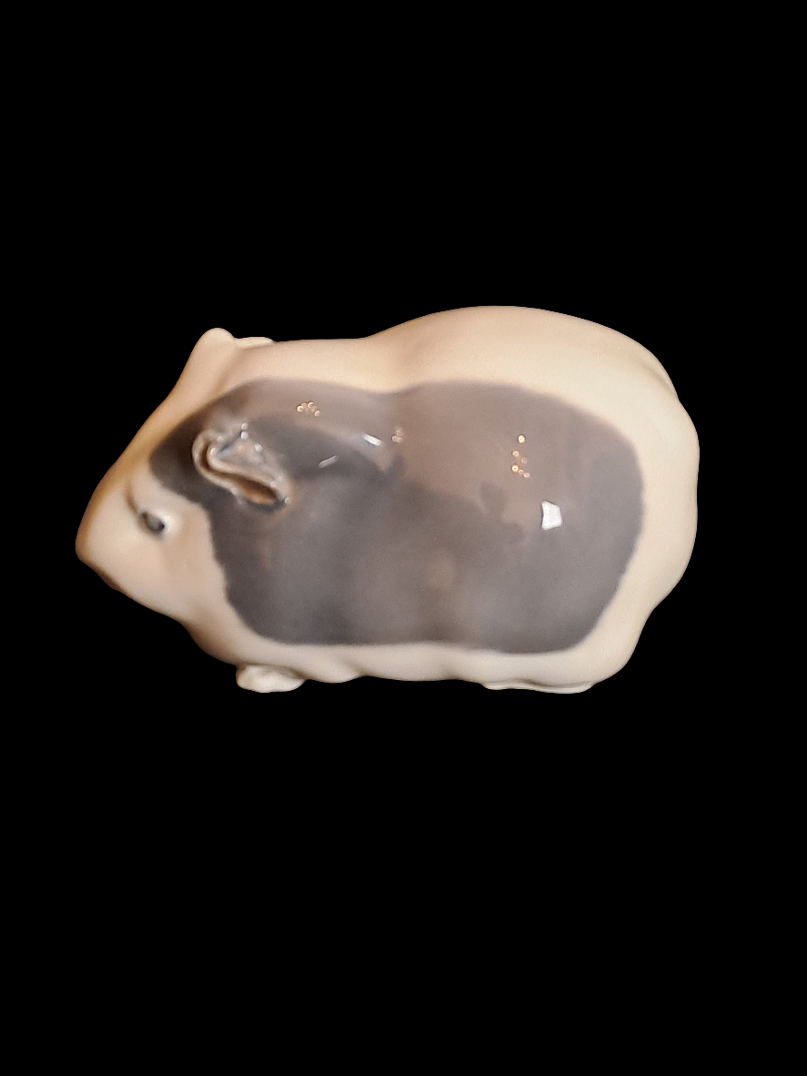 Guinea pig Royal Copenhagen