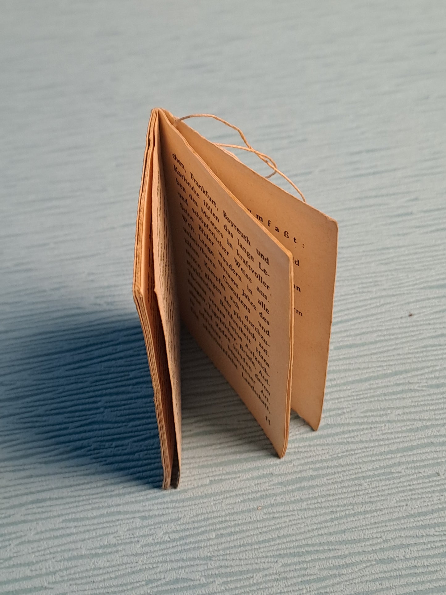 WHW Zwolf Manner am Oberrhein Booklet