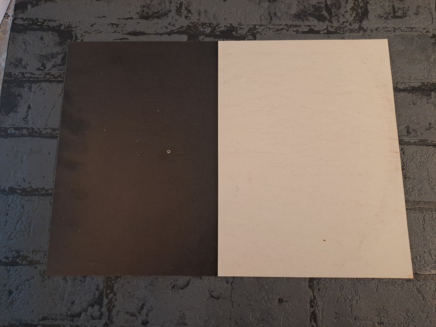 The Beatles Picture Inlay from LP