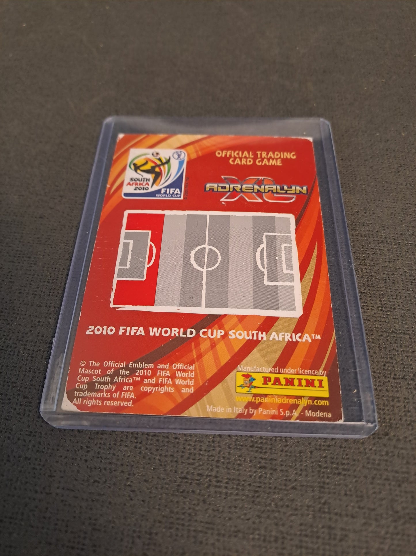 Panini 2010 Lucas Neill