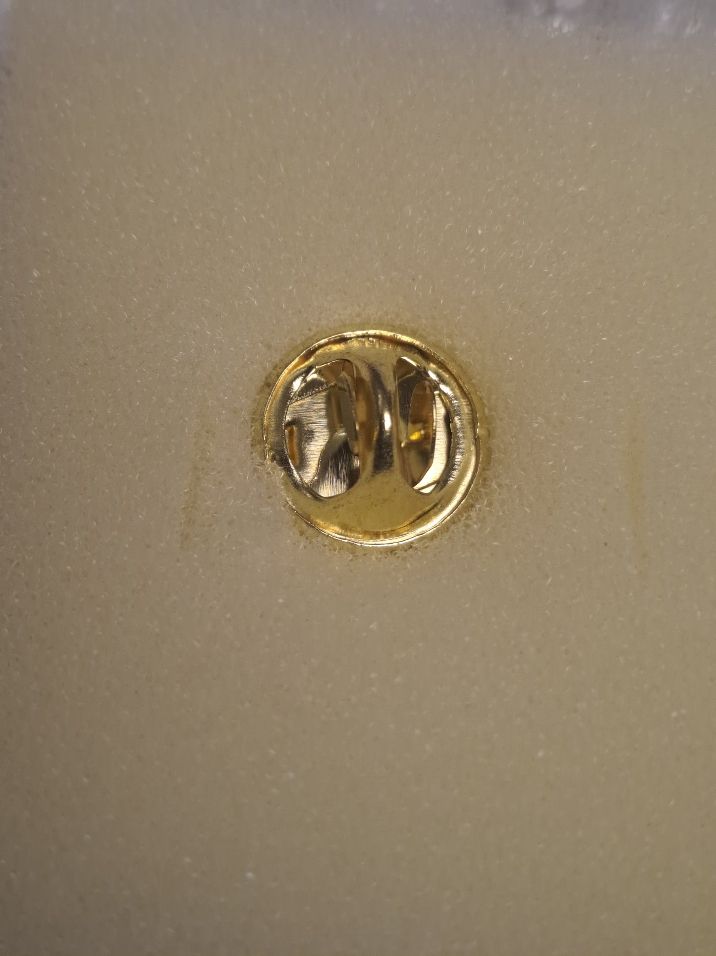 Broches 24K Gold Plated