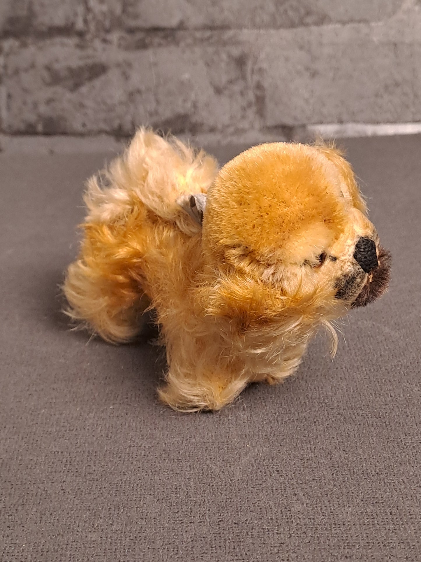 Steiff Pekingese Dog / Steiff Pekingeser