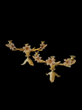 A pair of "Bouasse Jeune Paris" candelabra