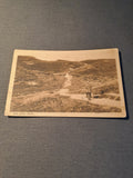 Den Jyske Hede 1911
