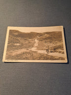 Den Jyske Hede 1911
