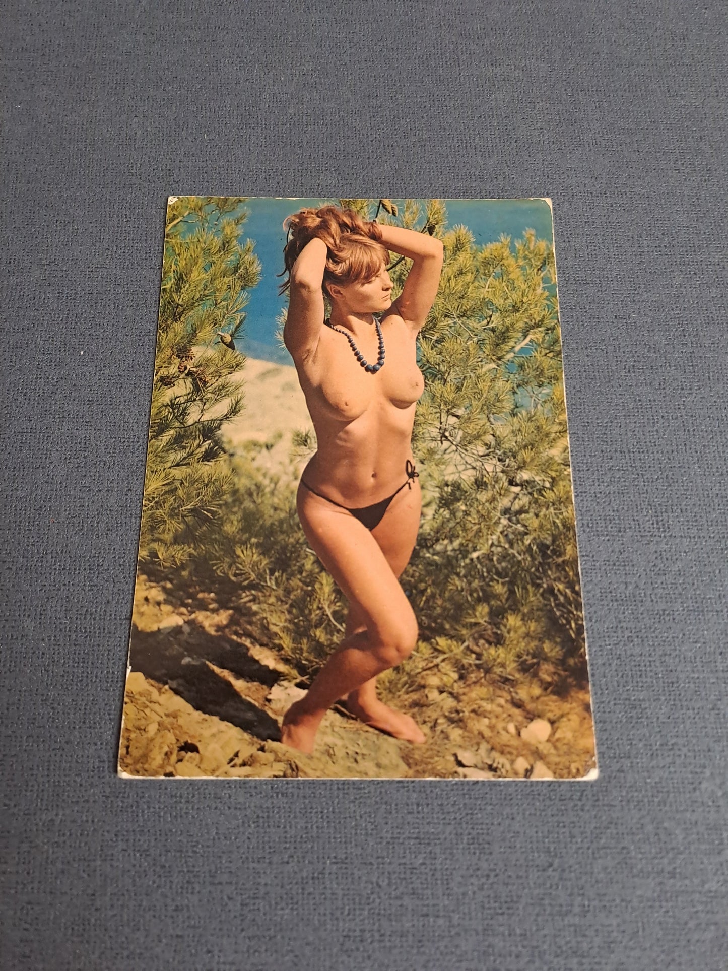 Vintage Postcard / Vintage Postkort