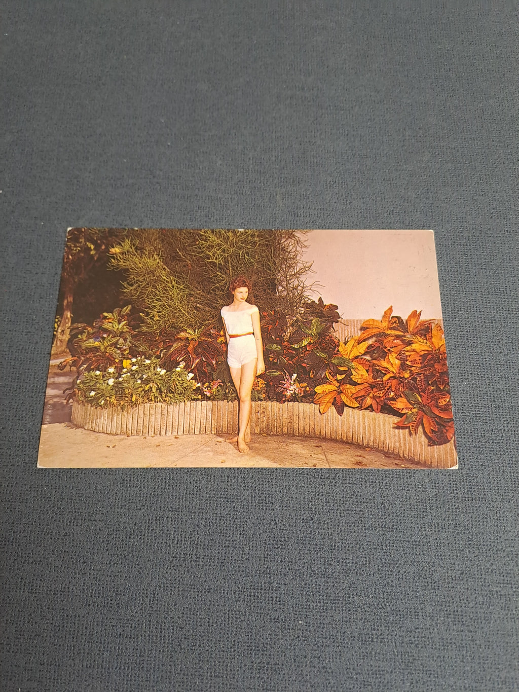 Vintage Postcard / Vintage Postkort