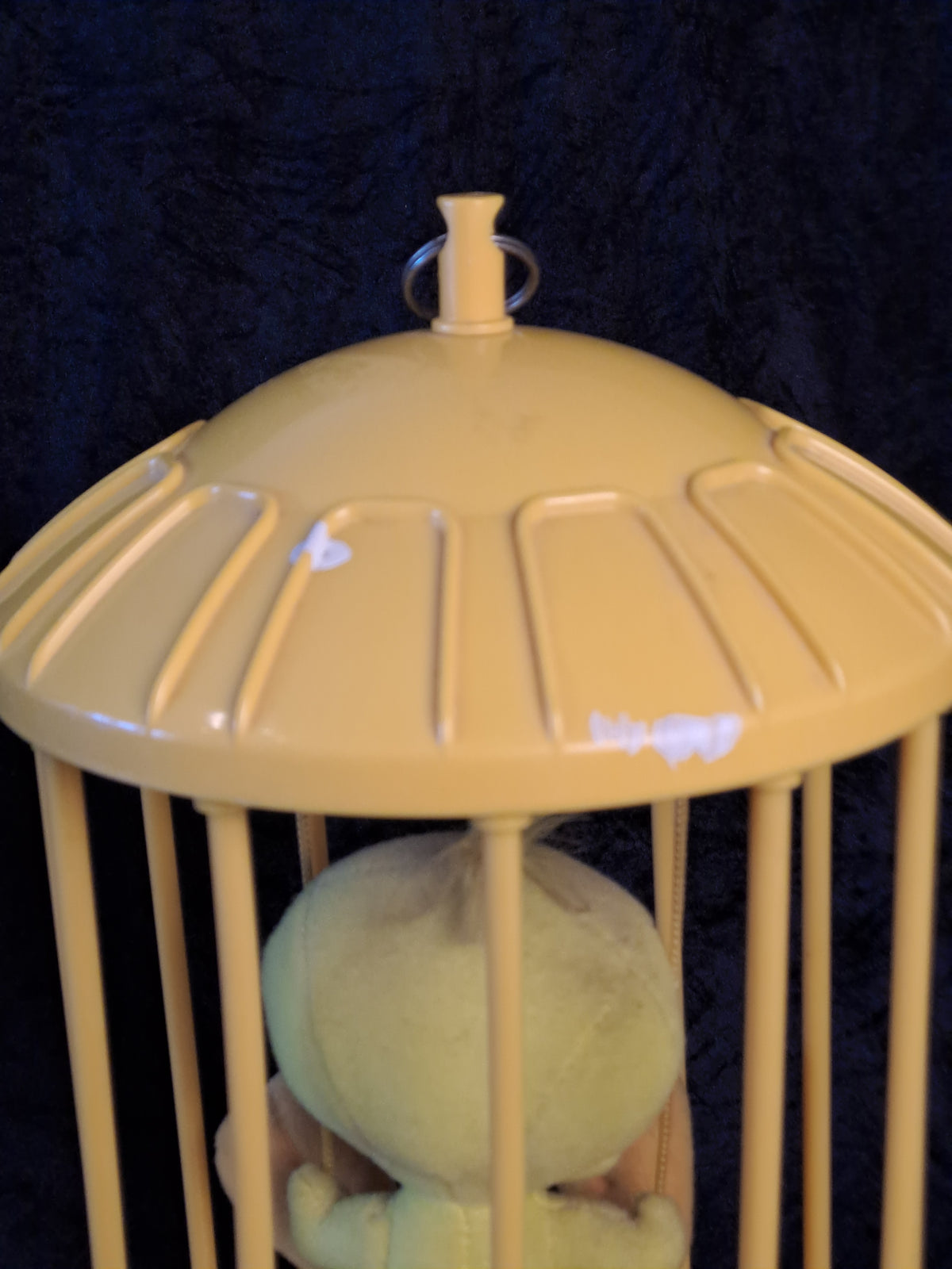 Tweety in a Bird Cage