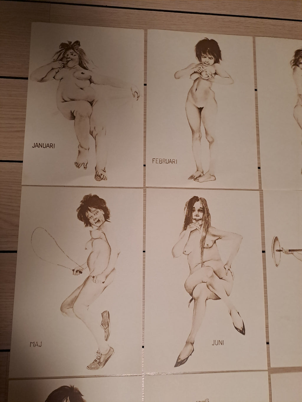 12 Month Caricatures / 12 Måneder Karikaturer