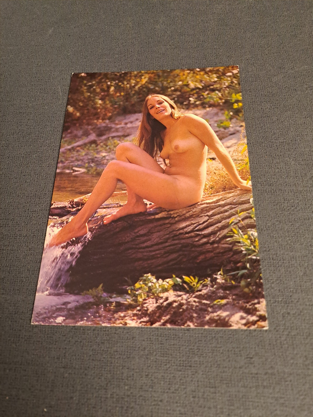 Vintage Postcard