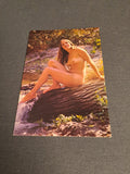 Vintage Postcard