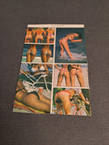 Vintage Postcard 1990s