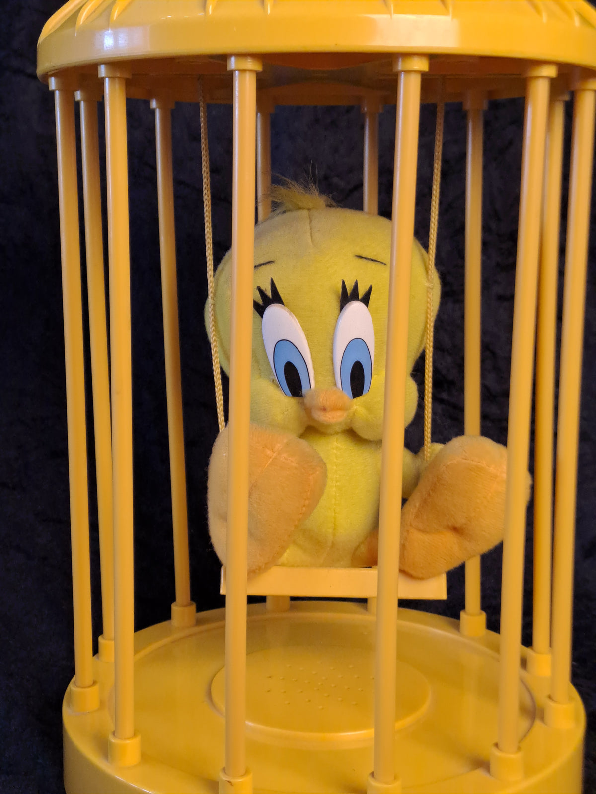 Tweety in a Bird Cage