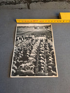 Collecting card / 1935 Nuremberg Rally collectible card