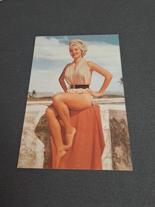 Vintage Postcard / Vintage Postkort