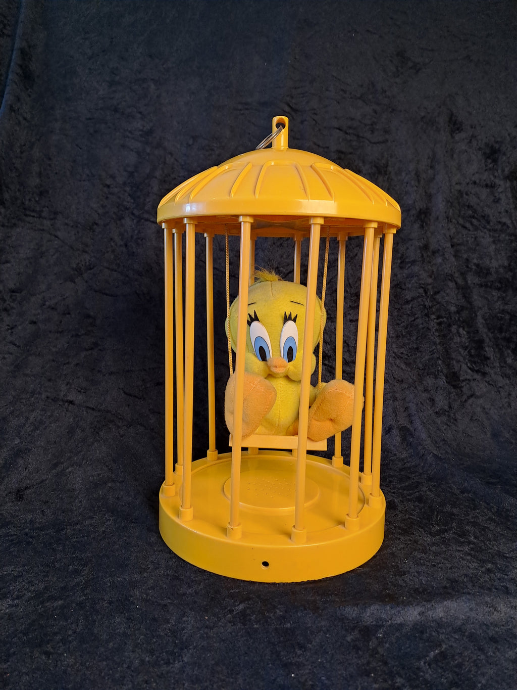 Tweety in a Bird Cage