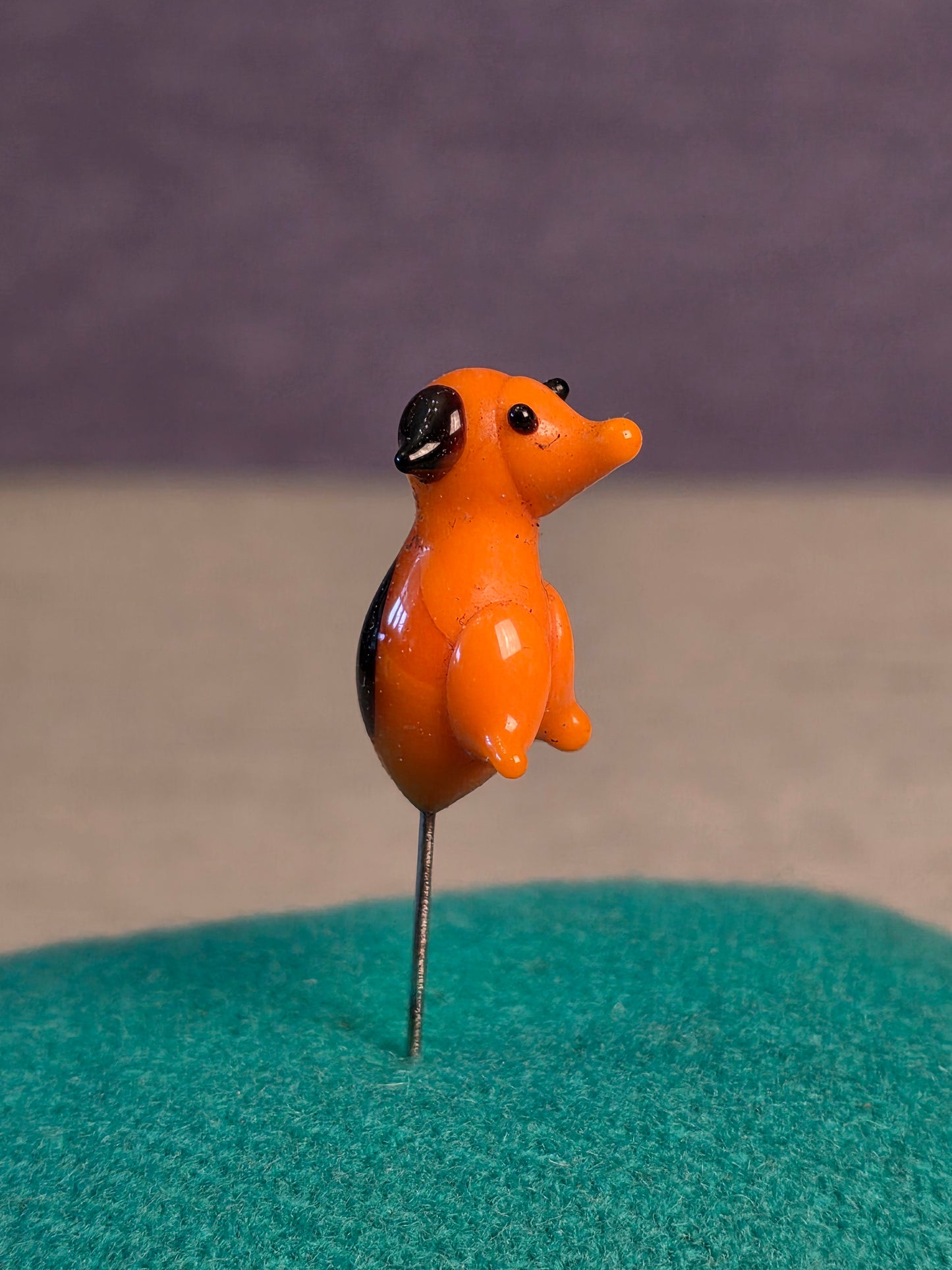 Nipsenål Hund