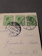 Svingelmosen near Nakskov 1921