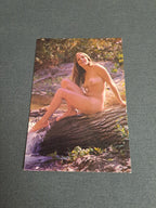 Vintage Postcard
