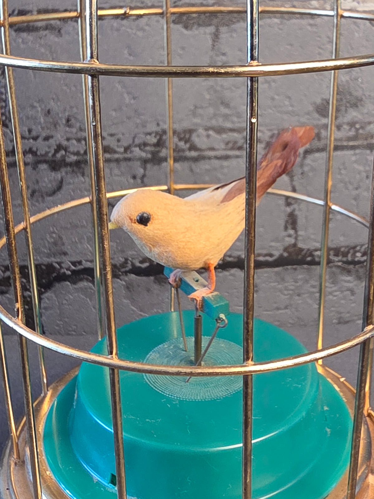 Mechanical Bird in a Cage