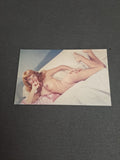 Vintage Postcard