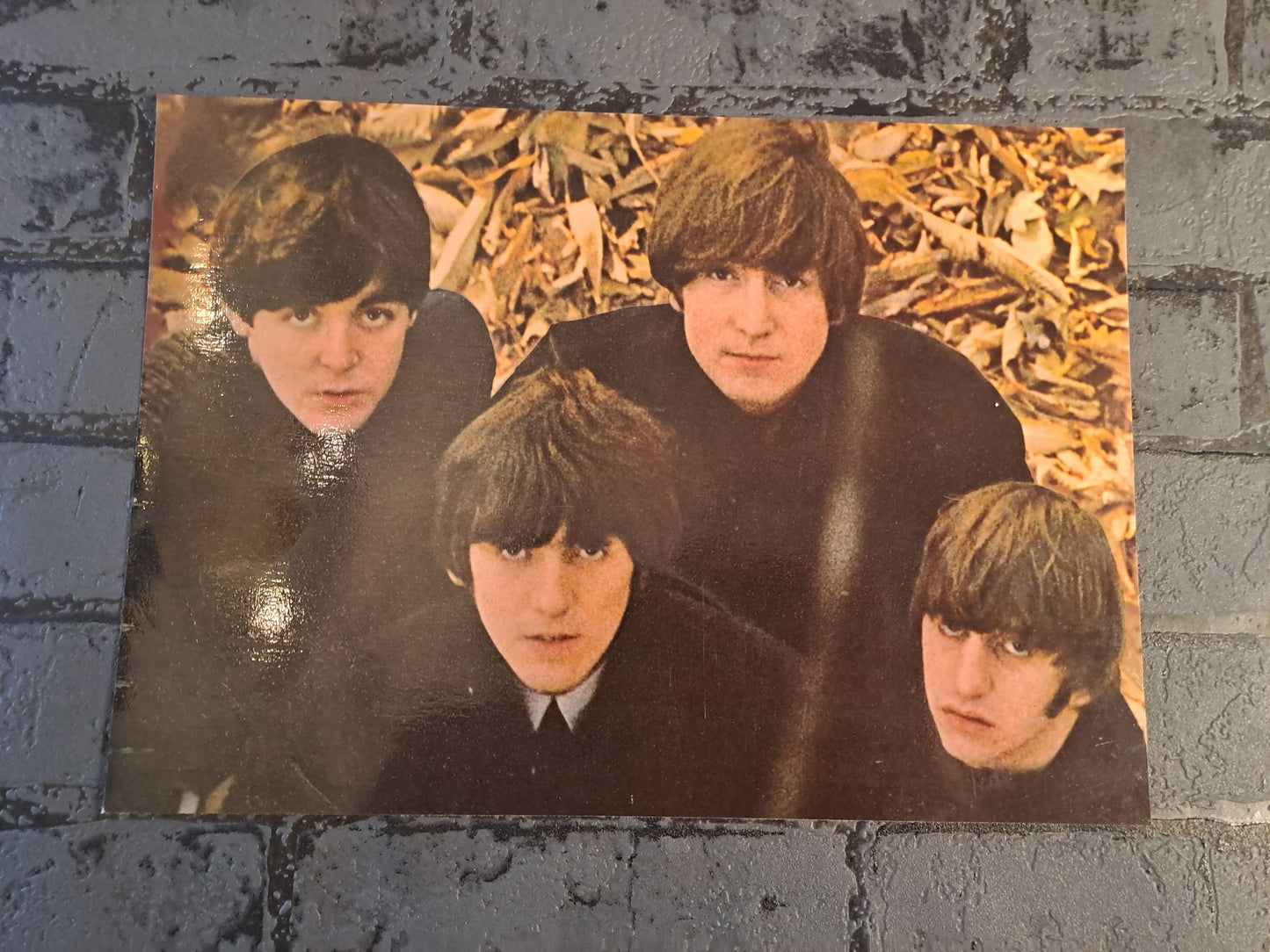The Beatles Picture Inlay from LP