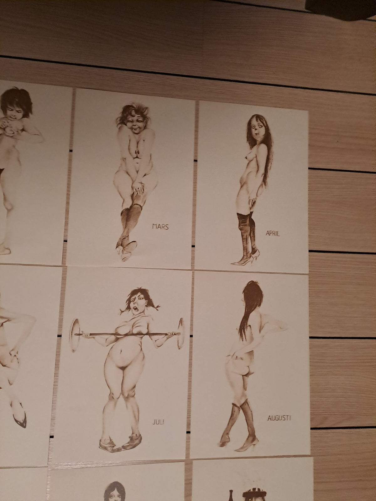 12 Month Caricatures / 12 Måneder Karikaturer
