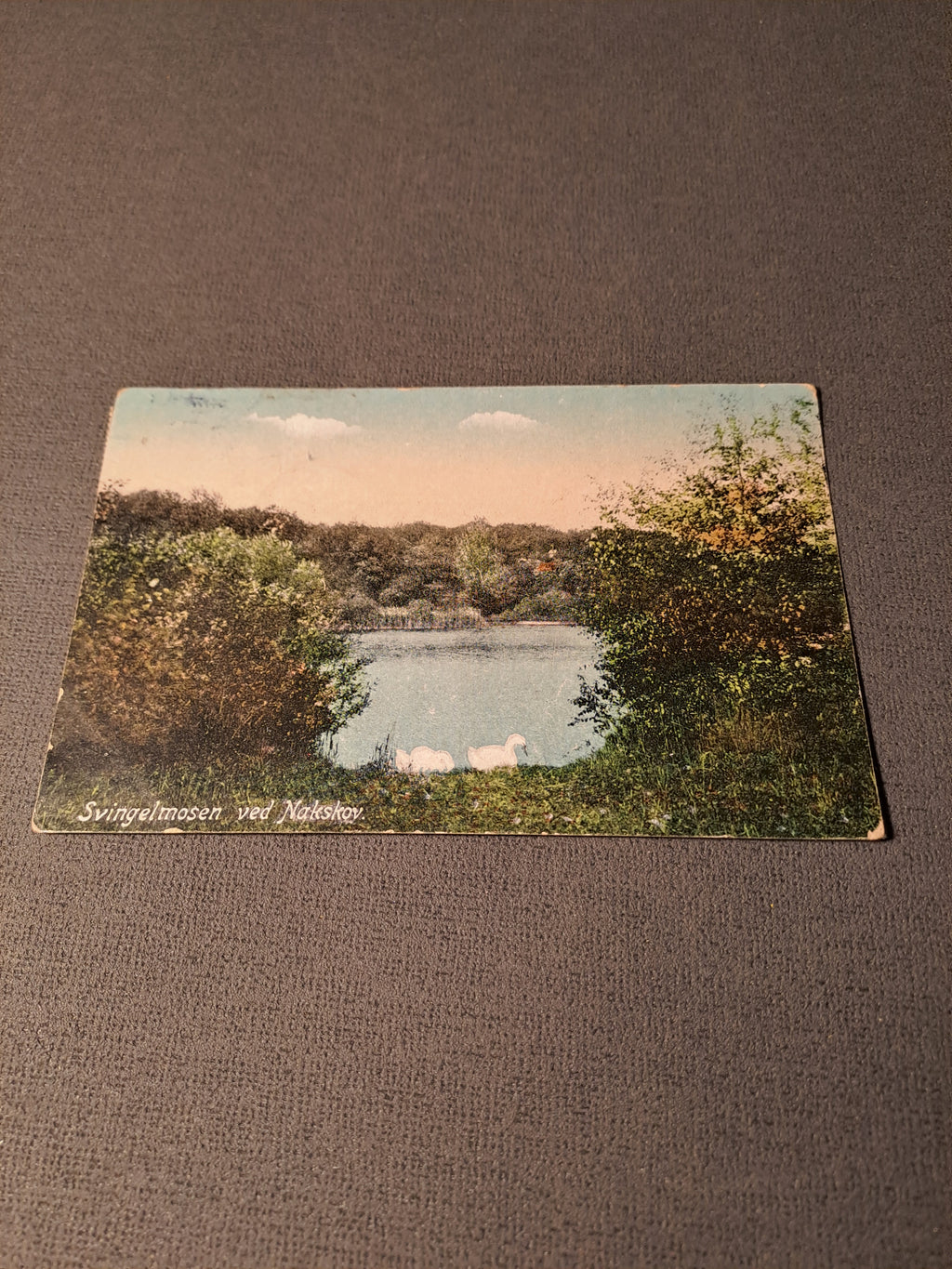 Svingelmosen near Nakskov 1921