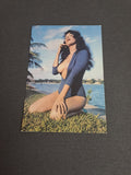 Vintage Postcard