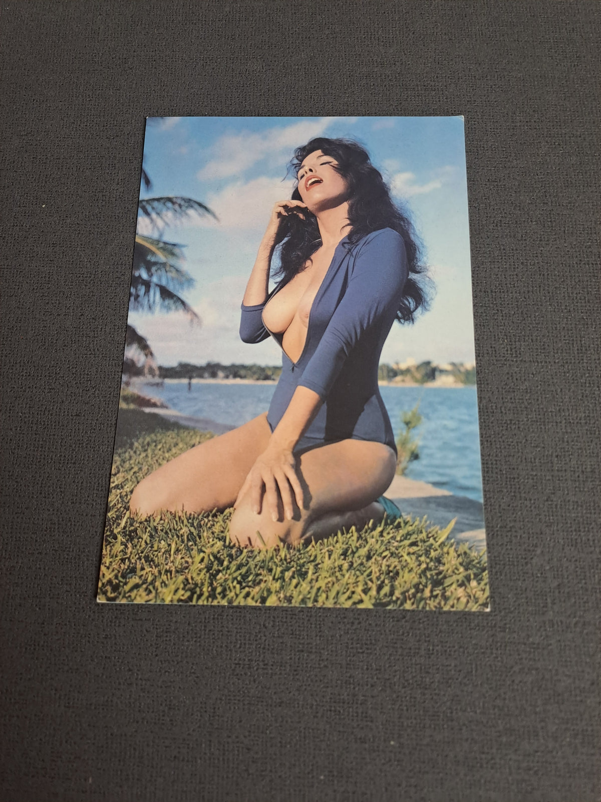 Vintage Postcard