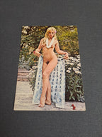 Vintage Postcard