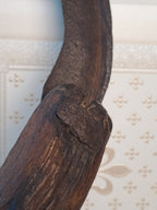 Antique Grain Seal 1850-1890