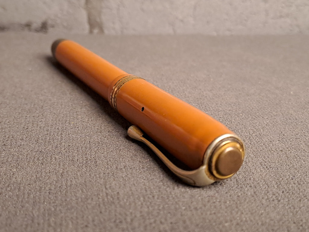 Fountain Pen Penol Deluxe