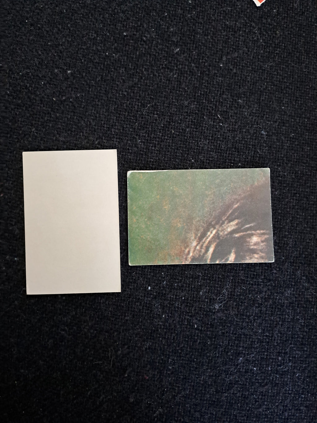 The Beatles Collecting Cards No 11, blank
