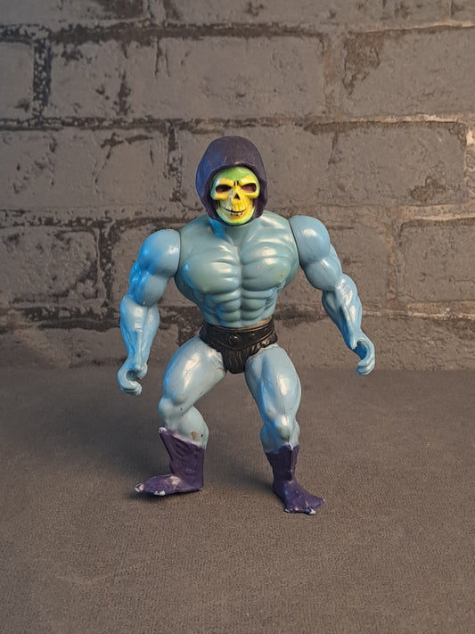Masters Of The Universe Skeletor