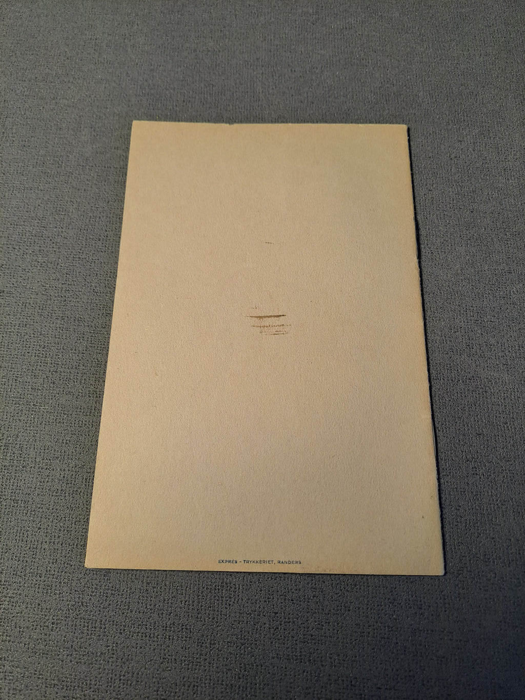 Randers Attractions in the City and Surrounding Area 1938