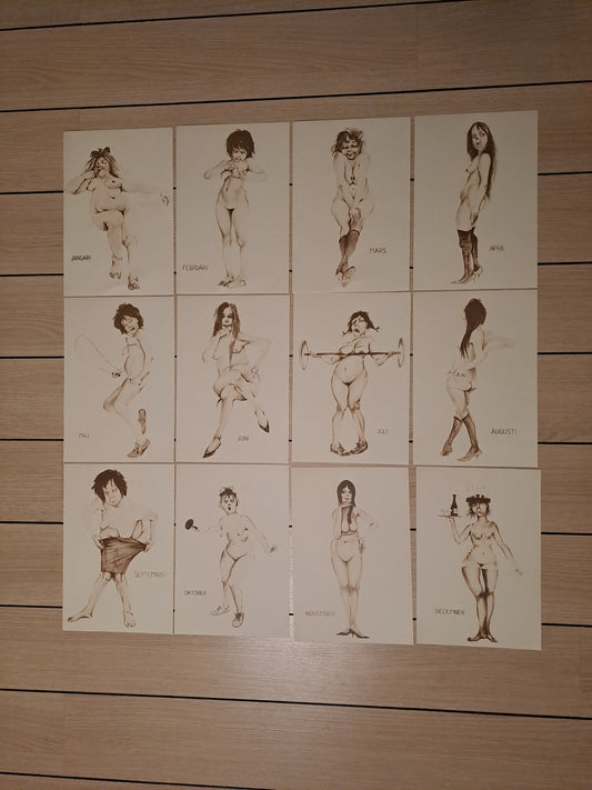 12 Month Caricatures / 12 Måneder Karikaturer