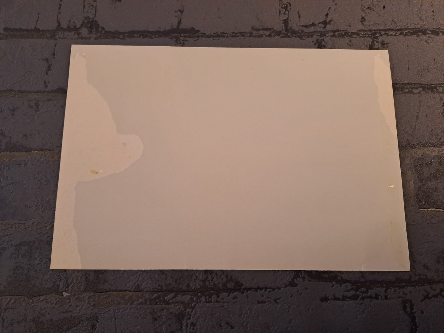 The Beatles Large Glossy Picture