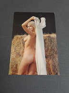 Vintage Postcard
