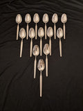 Harlequin ABSA Dinner Spoon 18 cm.