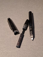 Fountain Pen Senator Vintage