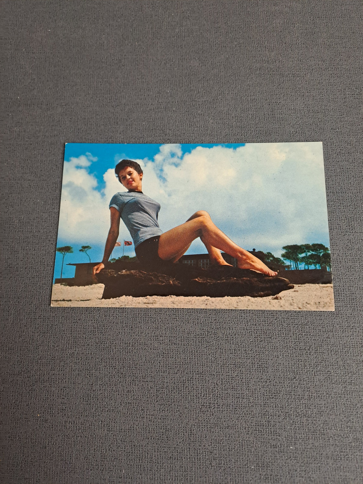 Vintage Postcard / Vintage Postkort