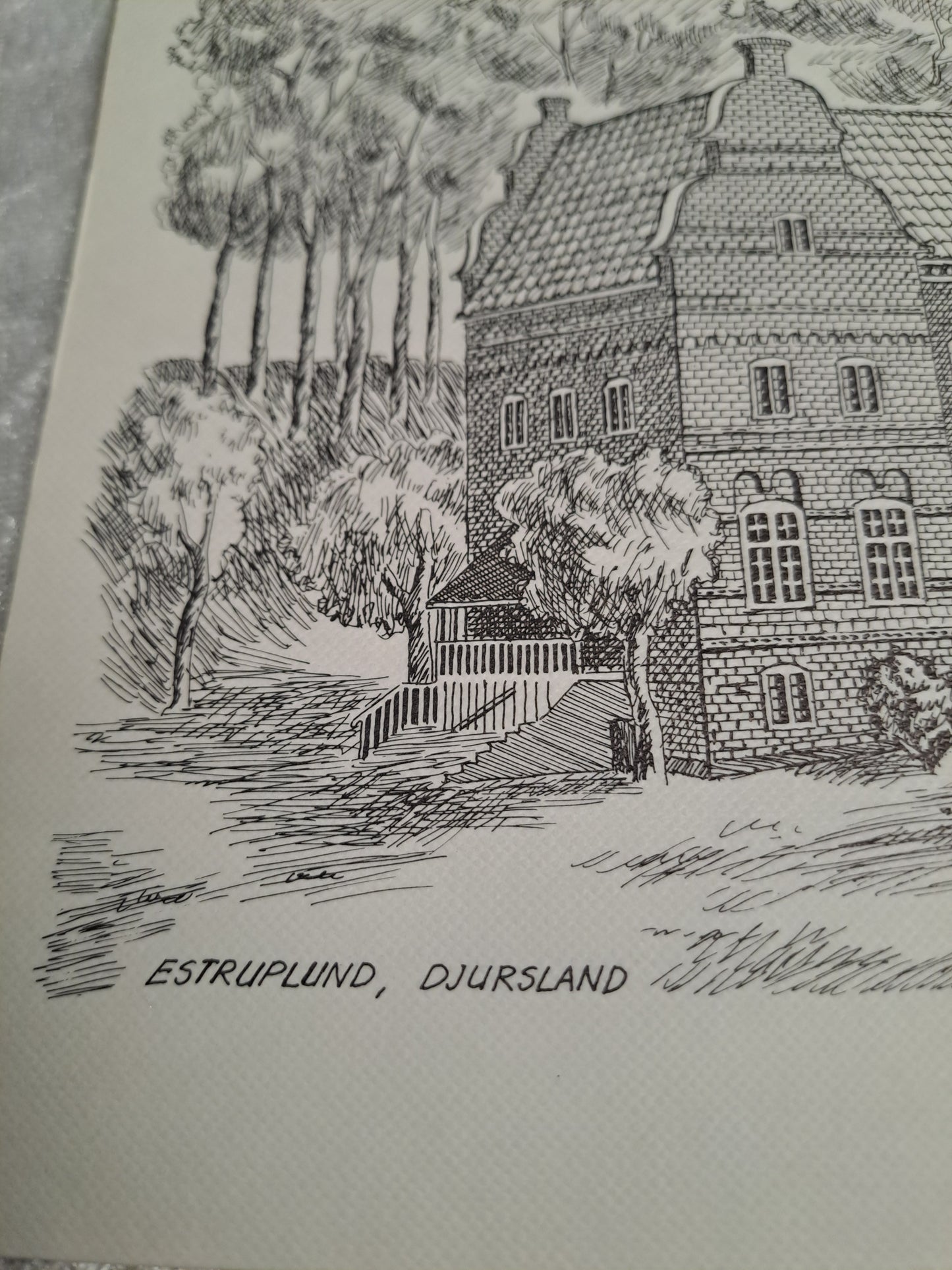 Randers/Djursland Motiver