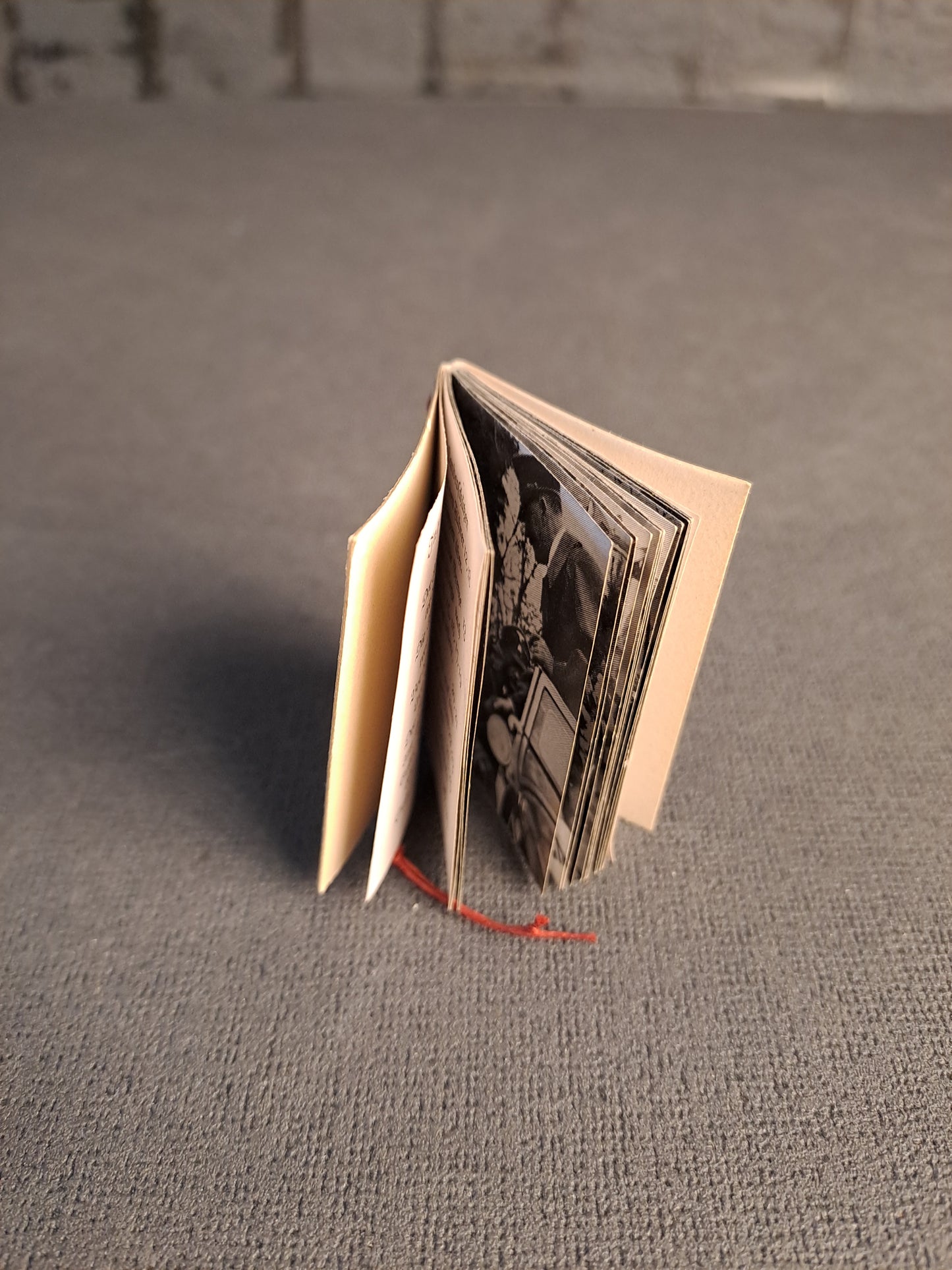 WHW Der Fuhrer Mini Booklet Und Seine Heimat