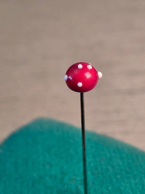 Pin cushion mushroom