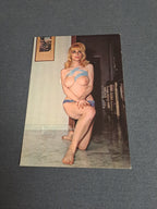 Vintage Postcard