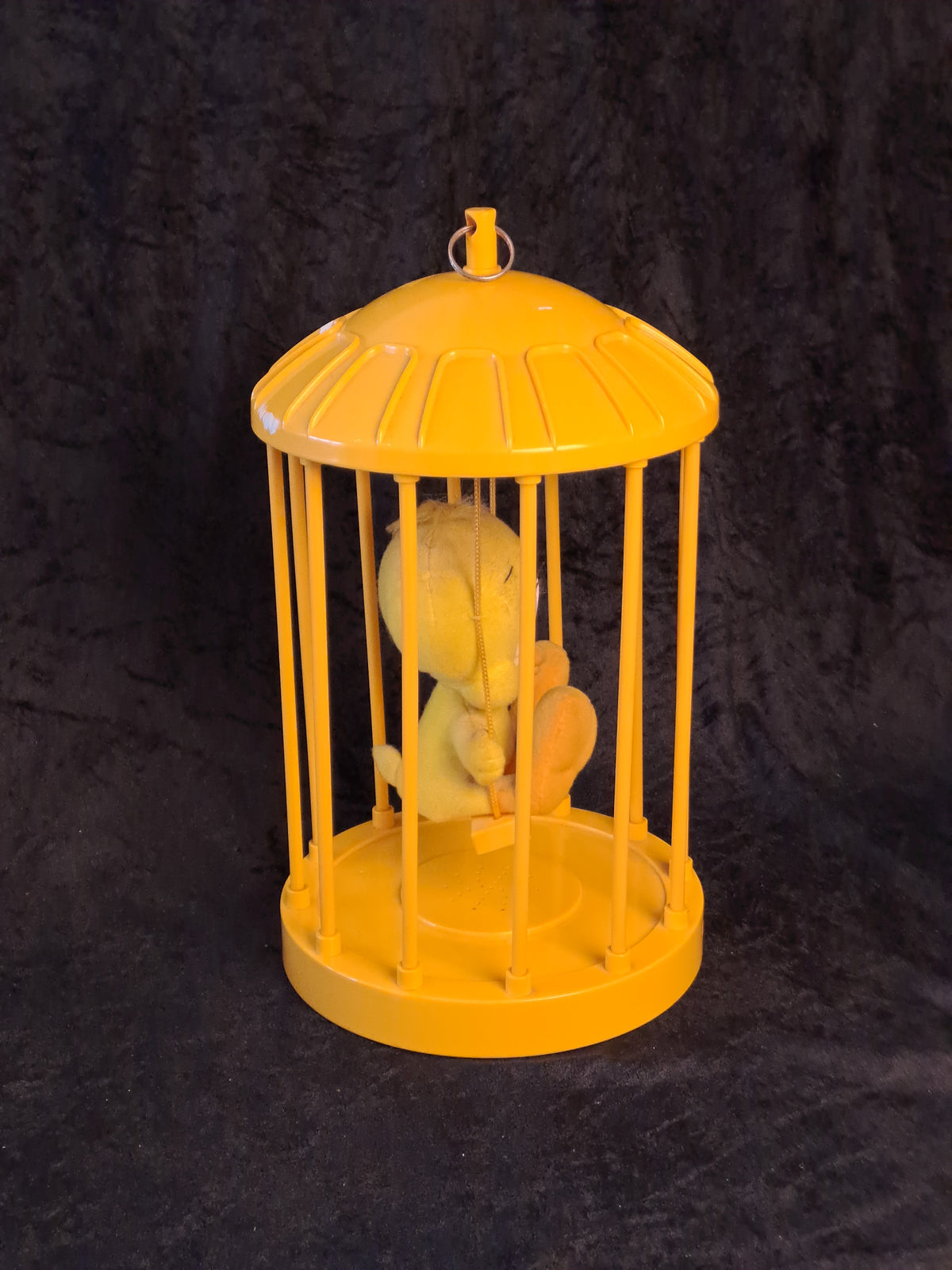 Tweety in a Bird Cage