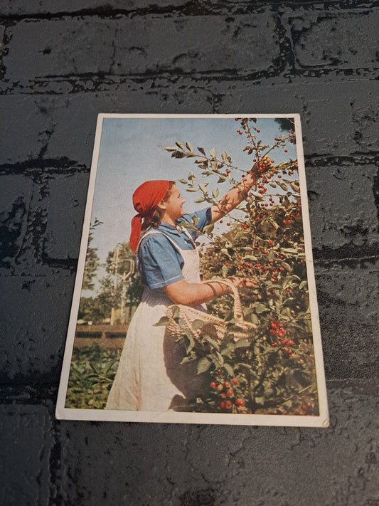 WW2 Postcard Arbeitsdienst