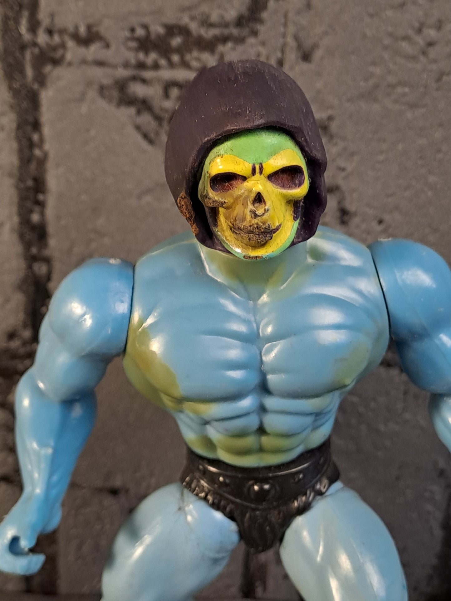 Masters Of The Universe Skeletor